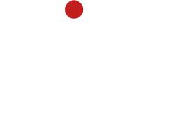 wizzo dev